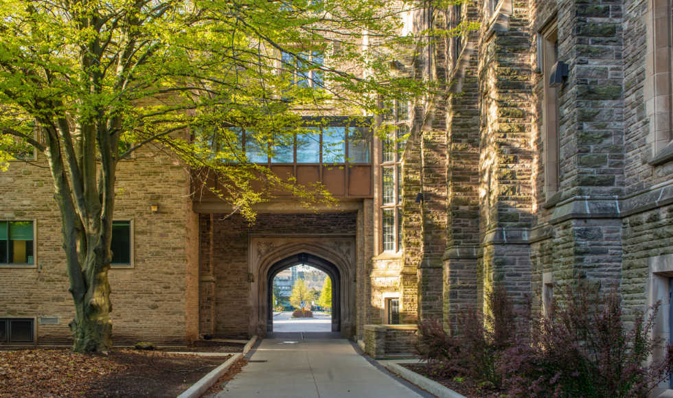 Sunny shot looking through tunnel between Gilmour Hall and University Hall, framed by trees