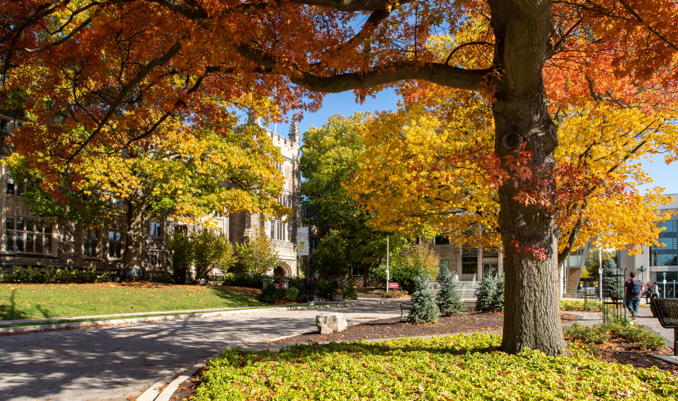 fall scene with colourful leaves on campus in front of university hall