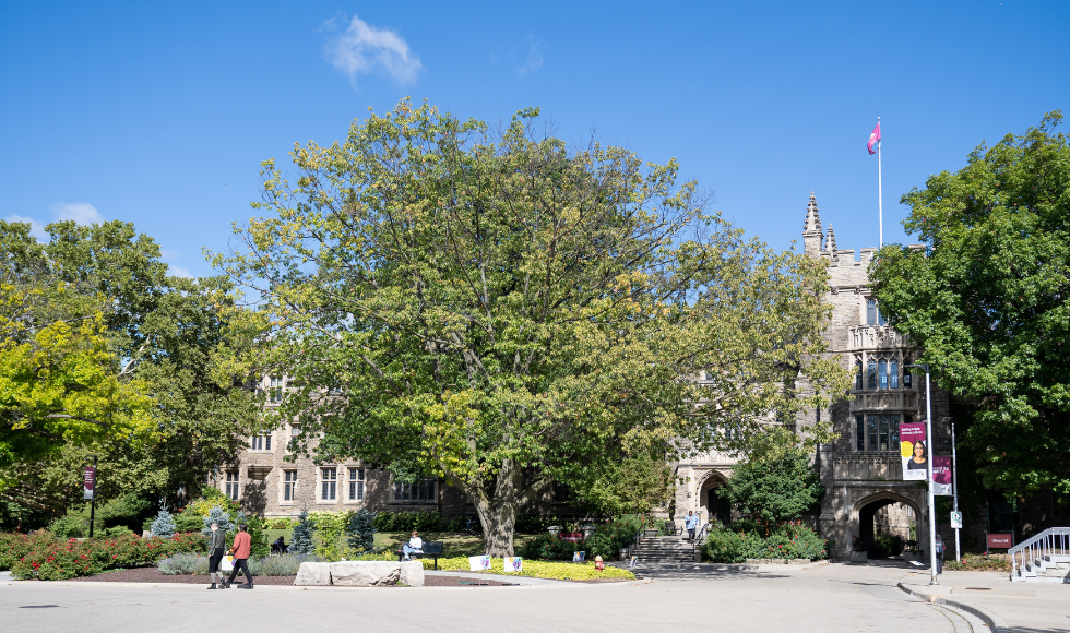 University Hall seen behind a big leafy tree on a sunny day.