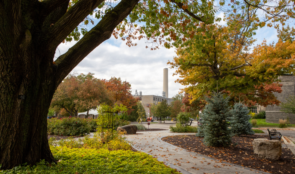 A tree-lined path winding through McMaster campus in the fall.