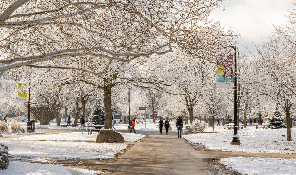 People walking on McMaster's campus. There is snow on the trees and ground.