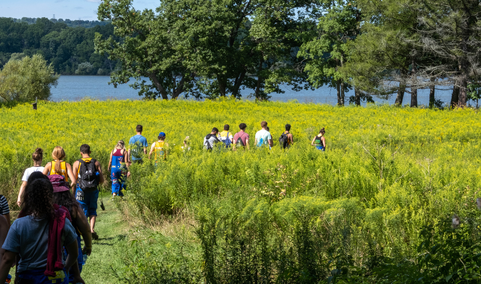 A group of people walking through greenspace. There are trees and a body of water in the background.