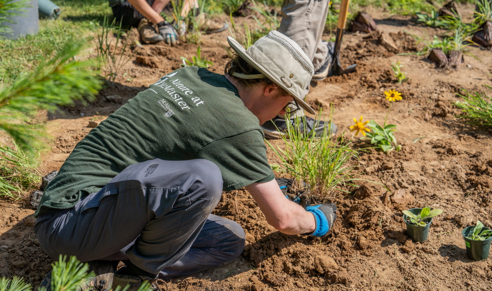 A person wearing a t-shirt with writing that reads, 'Nature @ McMaster,' working in a garden