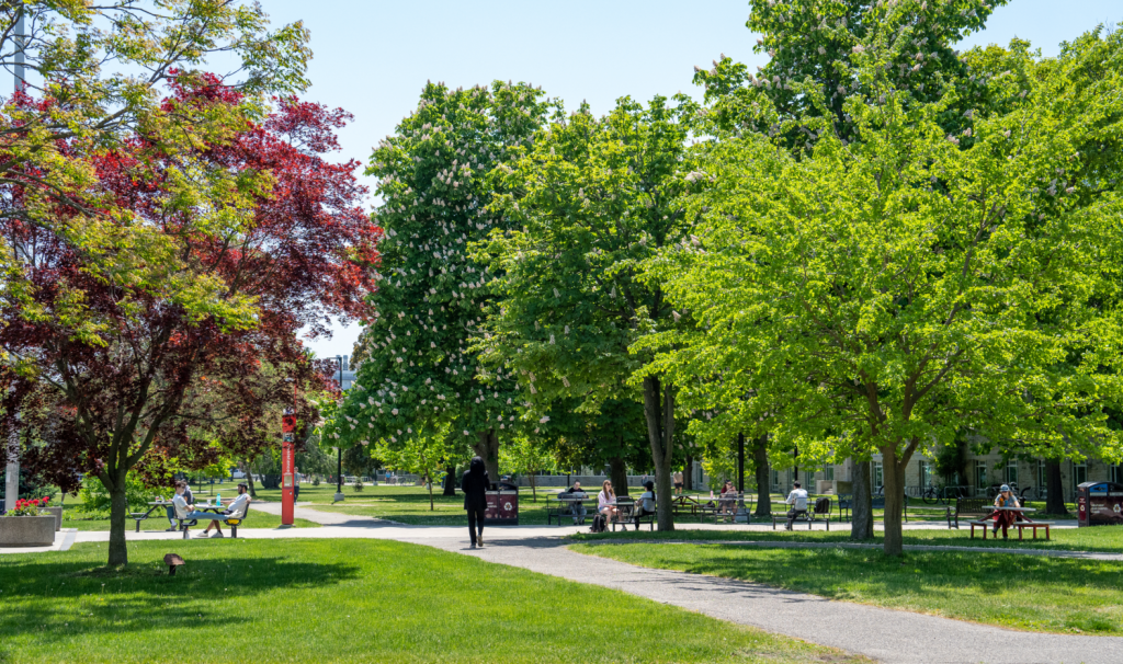 people walk on campus pathways in the spring.