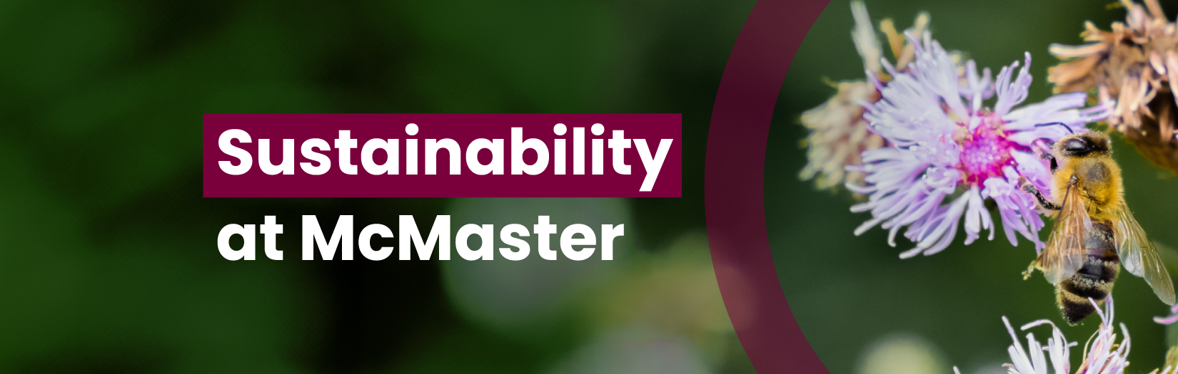 A graphic that reads, 'Sustainability at McMaster' and features a photo of a bee on a flower