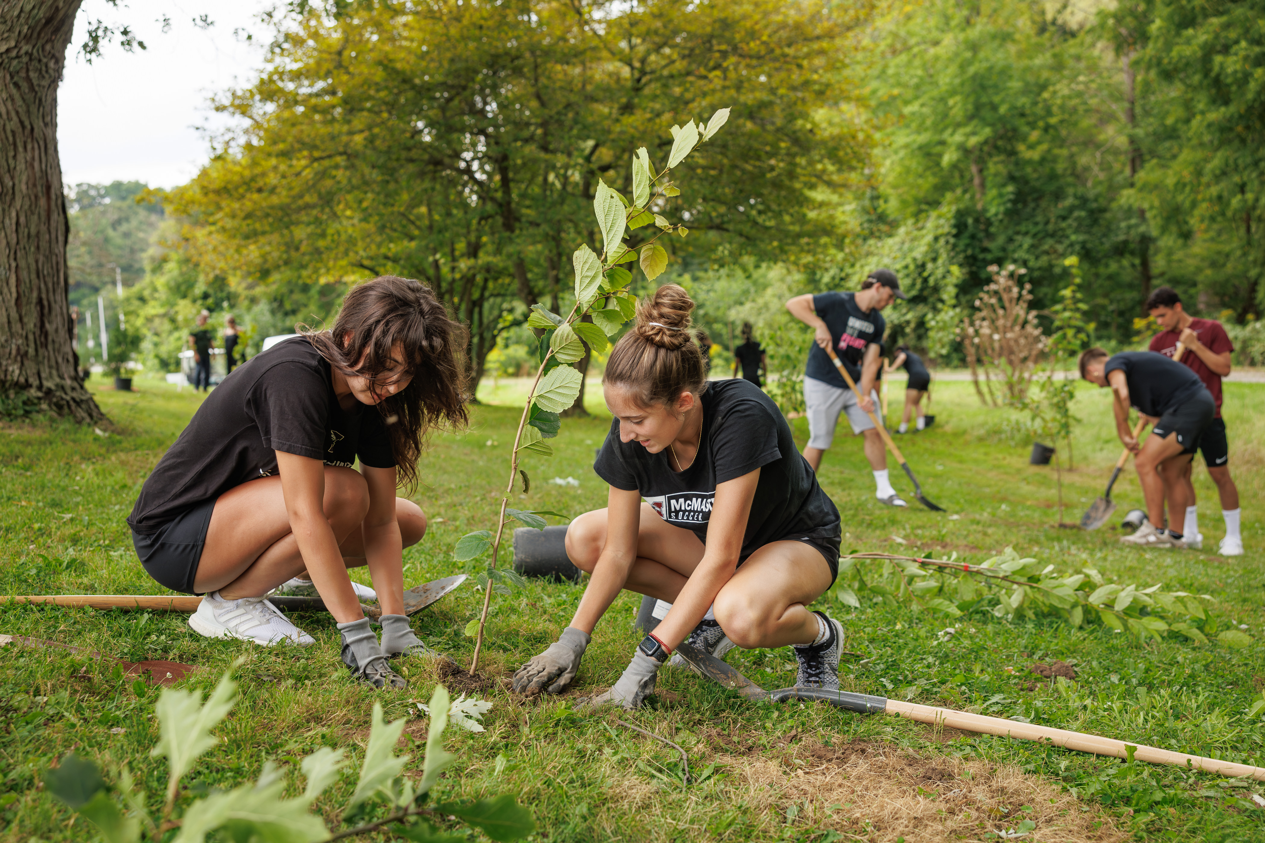 Two students plant a tree. There are people in the background of the photo that are also planting trees.