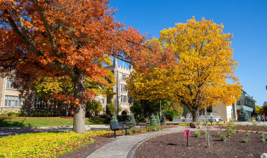 Trees on campus in the foreground, with red and gold leaves in the fall. In the background, University Hall.