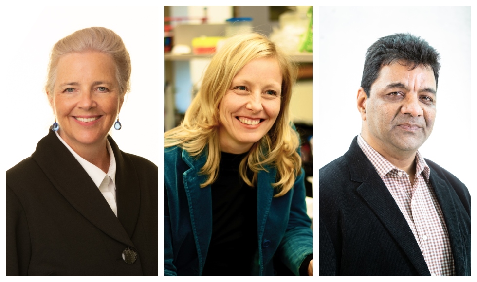 A grid of three head-and-shoulders images of a smiling woman in a black jacket and a white shirt, a smiling woman in a teal jacket with a black shirt, and a man in a light coloured shirt and black jacket