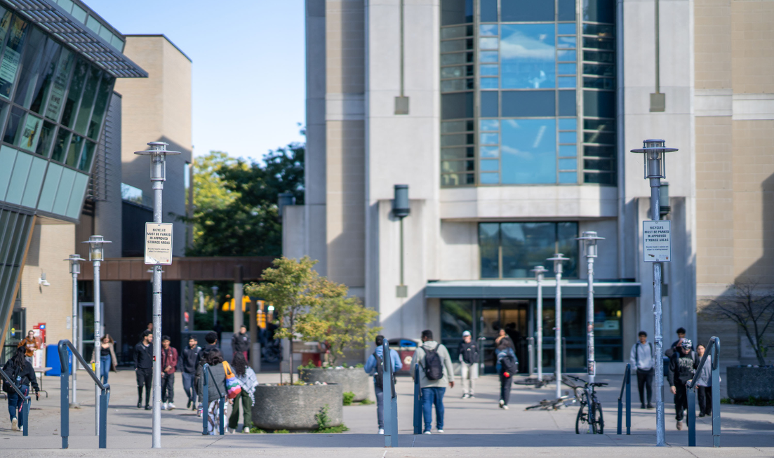 Seen from behind, students walking across Mills Plaza on a sunny day, toward Mills Memorial Library.