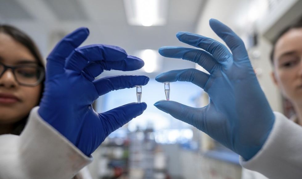 Two people, wearing lab coats and blue gloves, each hold up a hand with a tiny vial next to each other. Their hands and vials at at the forefront, their faces are slightly visible behind and to the side.