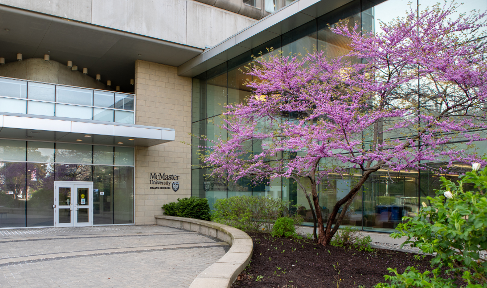 The entrance to MDCL, the Michael DeGroote Centre for Learning and Discovery, with a tree covered in pink blossoms outside it.