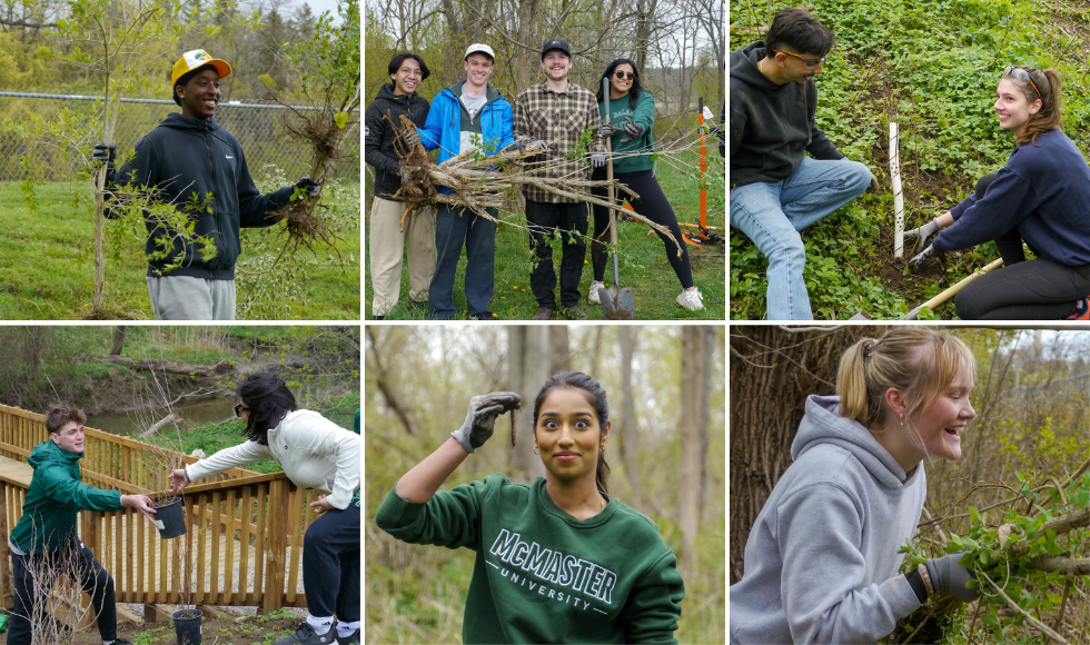 A grid of six images, each showing people outside holding various branches.