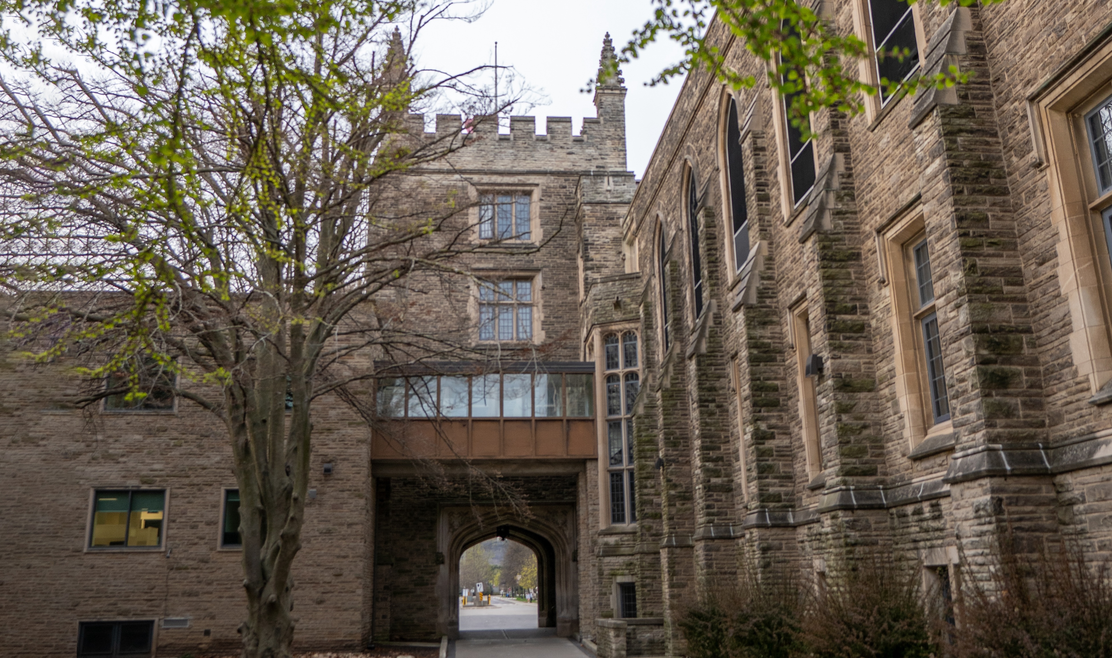 The tower of University Hall seen from ground level, facing the archway underneath it, framed by trees in the spring.